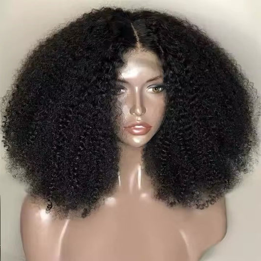 Afro Kinky Curl Wig